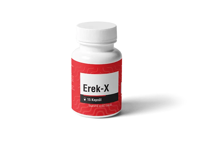 1 Kutu Erek-X